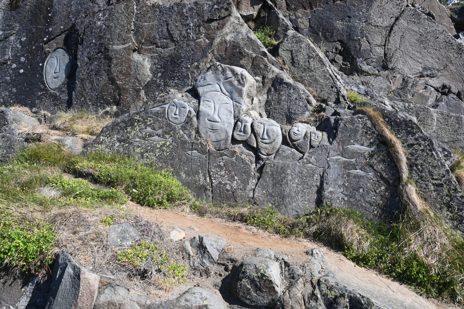 DSC_7023.JPG